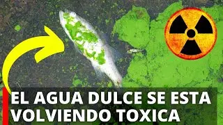 EL AGUA DULCE SE ESTA VOLVIENDO TOXICA