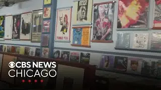 Record store tours in Oak Park, Illinois