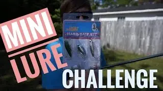 Mini lure challenge | mini crankbait, jerkbait, lipless crank Part 1 | 365 Bass Challenge