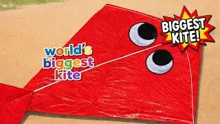 We make world's biggest kite 🪁 || हमने बना दी दुनिया की सबसे बड़ी पतंग 🪁 || experiment ka adda 