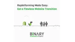 Ecommerce Migration and Replatforming