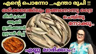 ജീവിതത്തിൽ ഒരിക്കലെങ്കിലും കഴിച്ചിരിക്കണം ഈ മത്തി കറി |Mathi Curry Kerala Style |Meen Mulakittathu 