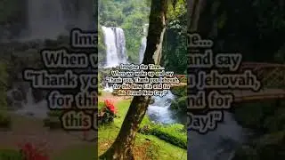 Imagine the Time || JW Version || Worship Version || Everlasting Hope 365 || #shorts #youtubeshorts