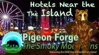 Hotels Near The Island! Can you Afford it?
