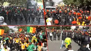 La démonstration de force impressionnante de la police pour la parade des Lions