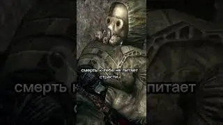 #игры #stalker