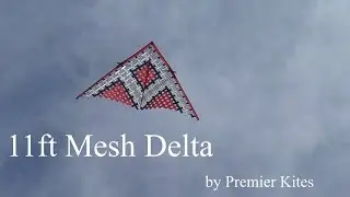 11ft Mesh delta - a kite full of holes!