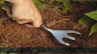 Woodland Tools Co. Heavy Duty Cultivator, Hand Rake, Garden Claw, Soil Tiller, Weed Comb, Claw Rake
