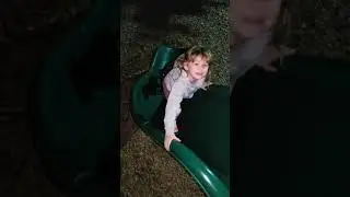 little girl and her black lab playing on slide together