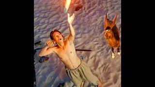 The phoenix will bring you good luck. #shorts #edit