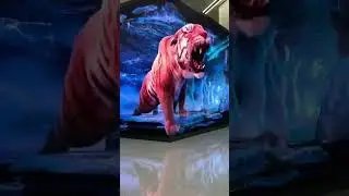 Indoor 3D Immersive LED Display Screen For Retail Advertising #led #leddisplay #ledscreen
