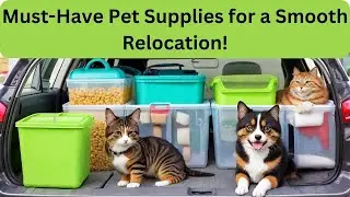 Must-Have Pet Supplies for a Smooth Relocation! 🐾🚚#PetRelocation #MovingWithPets #PetSupplies