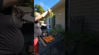 Huge carrot harvest! 🥕 🍲  #homesteading #growingcarrots #carrots #harvest #gardentips #gardeningtip