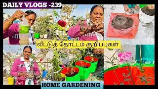 DAILY VLOGS -239 | REPLANTING 🌺 FLOWERS | NATURAL LIQUID WATER FOR PLANTS ☘️
