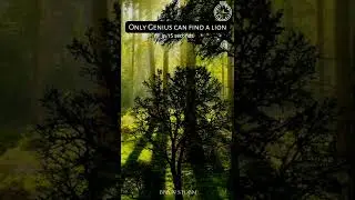 Nobody can see the hidden animal || Brain game || puzzle || hidden animals