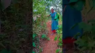 #saranda saranda jungle #shortvideo