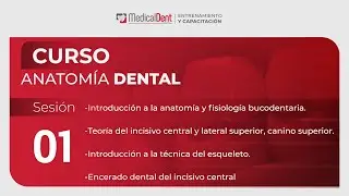 CURSO ANATOMÍA DENTAL - SESIÓN 1