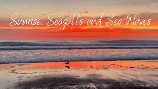 Crashing Waves, Seagulls and Brilliant Sunrise - Enjoy the Beach Sounds for Relaxation and Sleep