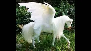 horsegiirL - My Little White Pony (Official Instrumental)
