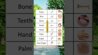 Body Parts Name in English & Urdu | Speak Like a Native!&rdquo;#BodyPartsName #EnglishWithUrdu #education
