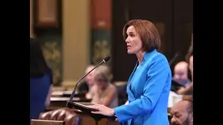 Rep. Winnie Brinks Passes Pulmonary Fibrosis Awareness Month