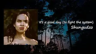 Shungudzo - It's a good day (to fight the system) Lyrics