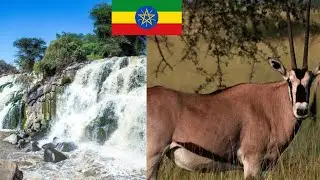*Awash National Park**, one of Ethiopia&rsquo;s most iconic and oldest protected areas.