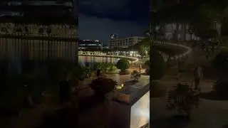 Violin Serenade at Starlight Bridge, District 7
