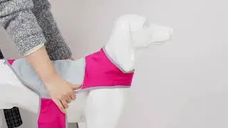 169 dog anxiety vest