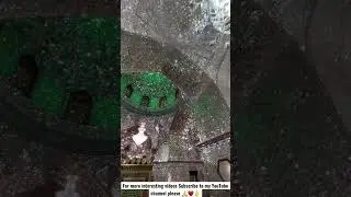 A Beautiful Historical Mosque in Iran Tehran #youtubeshorts #viralvideo #foryou #travel #iran #fyp
