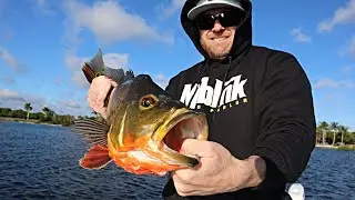 Winter Fishing For Peacock Bass and Clown Knife Fish!! Lake Ida, Florida
