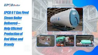 EPCB 6 T Gas Fired Steam Boiler Delivered    Help Efficient Production of Red Wine and Brandy