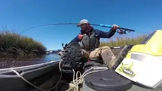 ACE Basin Redfish