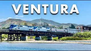 Old Railroad Bridge on the California Coast (And What Killed This Sea Lion?)