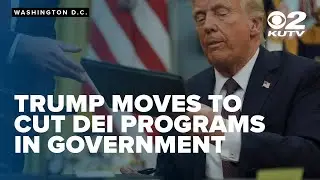 Trump moves to cut diversity, equity, inclusion, accessibility programs in government