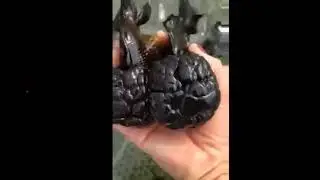 30 июня 2020 г.