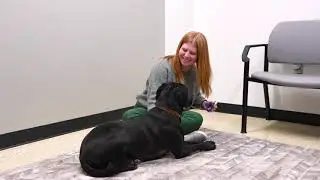 Behavior Service - Temperature Taking