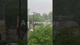 Rainy day at NC State University