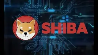 [LIVE] Shiba inu live stream - EXPLAINED - CRAZY G LIVE - ROBIN HOOD NEED TO LIST NOW!