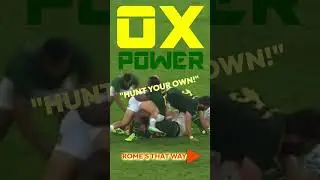Ox Nch&eacute; Power - 