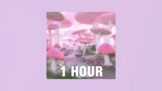 [1 HOUR] 