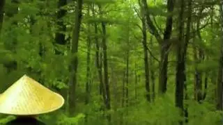 Jacob On Shrooms