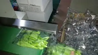 Green vegetables packing machine, Green vegetables flow wrap machine