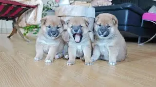 There is always that ONE acting up for a family pic 😆