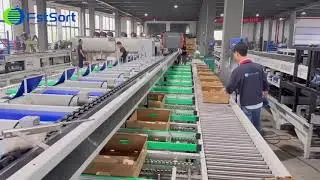 Upgrade your tomato line with Fstsort professional processing solutions: 🍅🍅👍