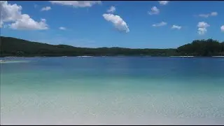Australia East Coast Roadtrip: Cape Tribulation