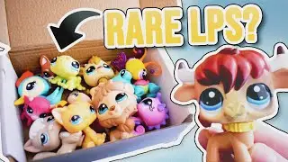 I got OLD LPS in 2023? | Littlest Pet Shop - Rare Unboxing/Haul & Review (Littlest Pet Shop Stop)