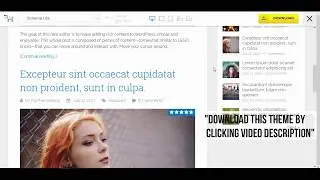 Schema WordPress Theme Review: Fast & SEO Optimized