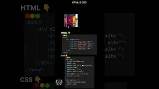Card Hover Effect animation using Html and CSS #html #css #viralvideo #todayviralvideo #trend