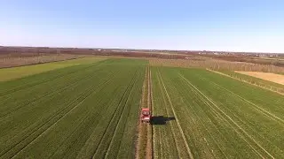 Wiosna 2019